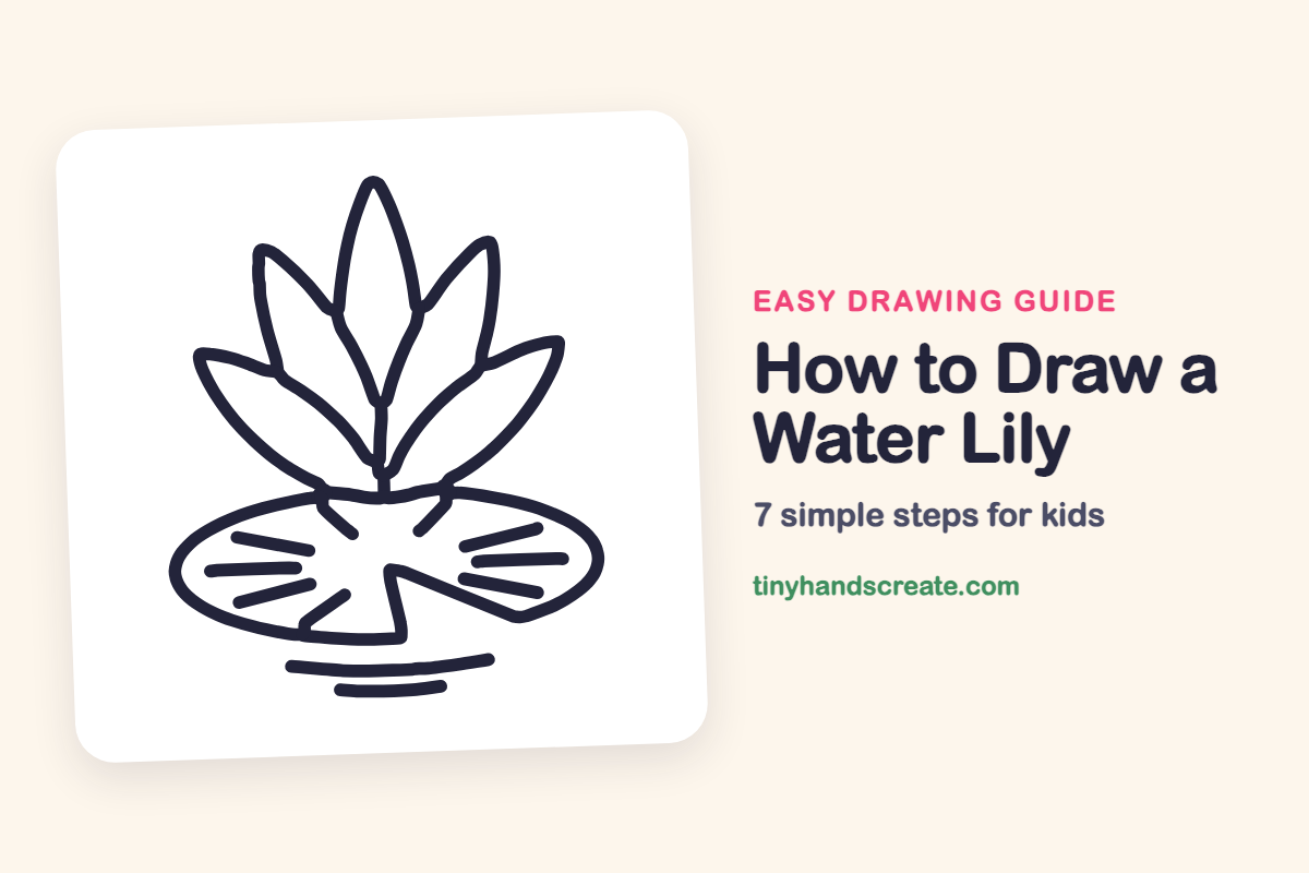 How to Draw a Water Lily: easy drawing guide for kids