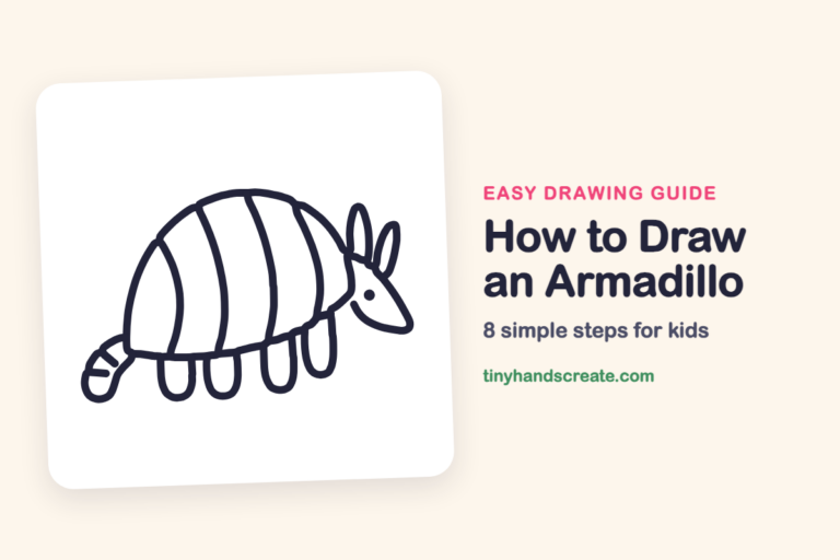 How to Draw an Armadillo