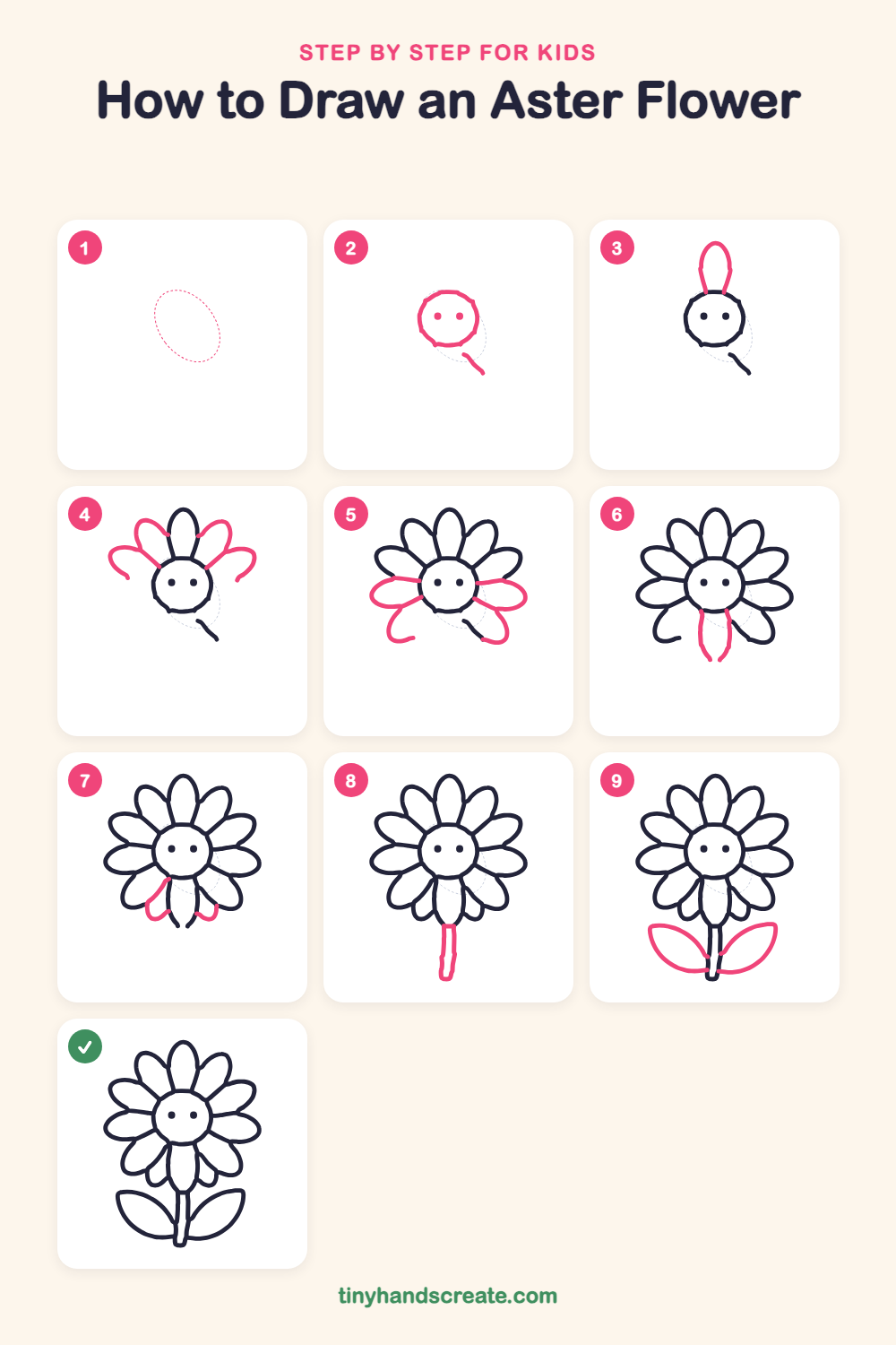 How to draw an aster flower step by step for kids