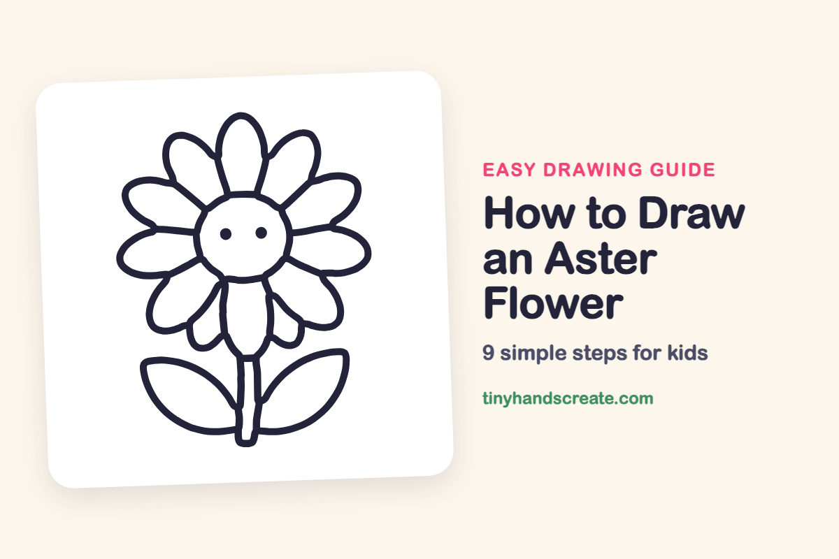 How to Draw an Aster Flower: easy drawing guide for kids