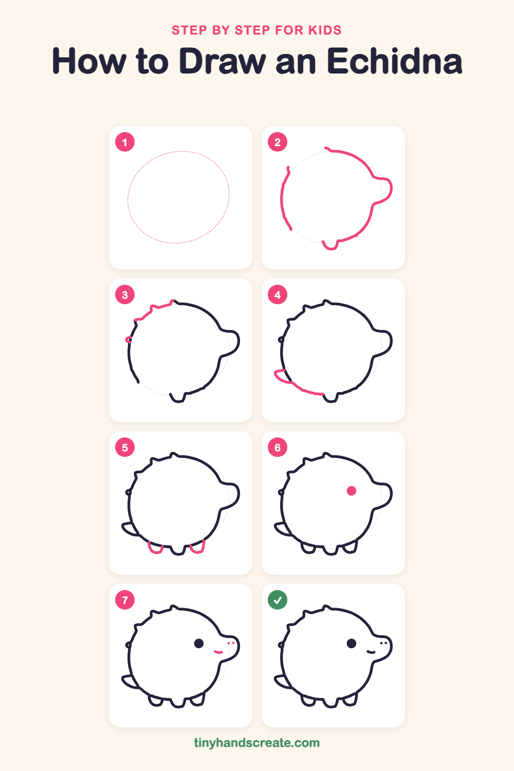 How to draw an echidna step by step for kids