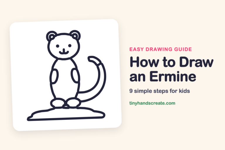 How to Draw an Ermine: easy drawing guide for kids