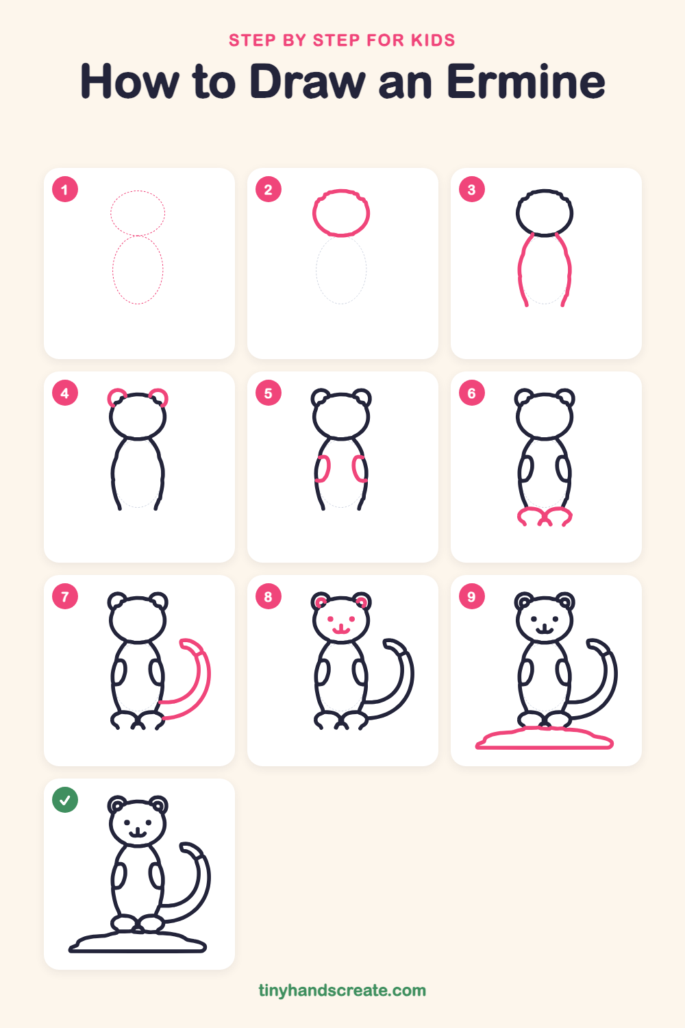 How to draw an ermine step by step for kids