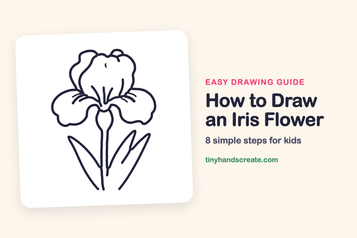 How to Draw an Iris Flower: easy drawing guide for kids