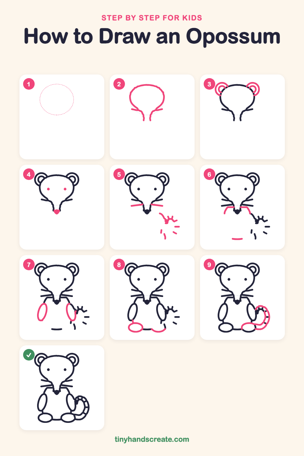 How to draw an opossum step by step for kids