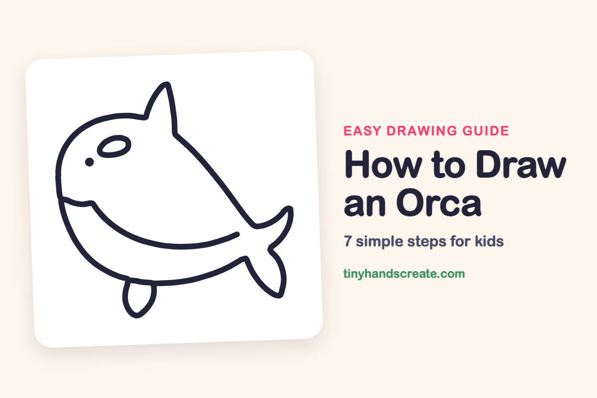 How to Draw an Orca: easy drawing guide for kids