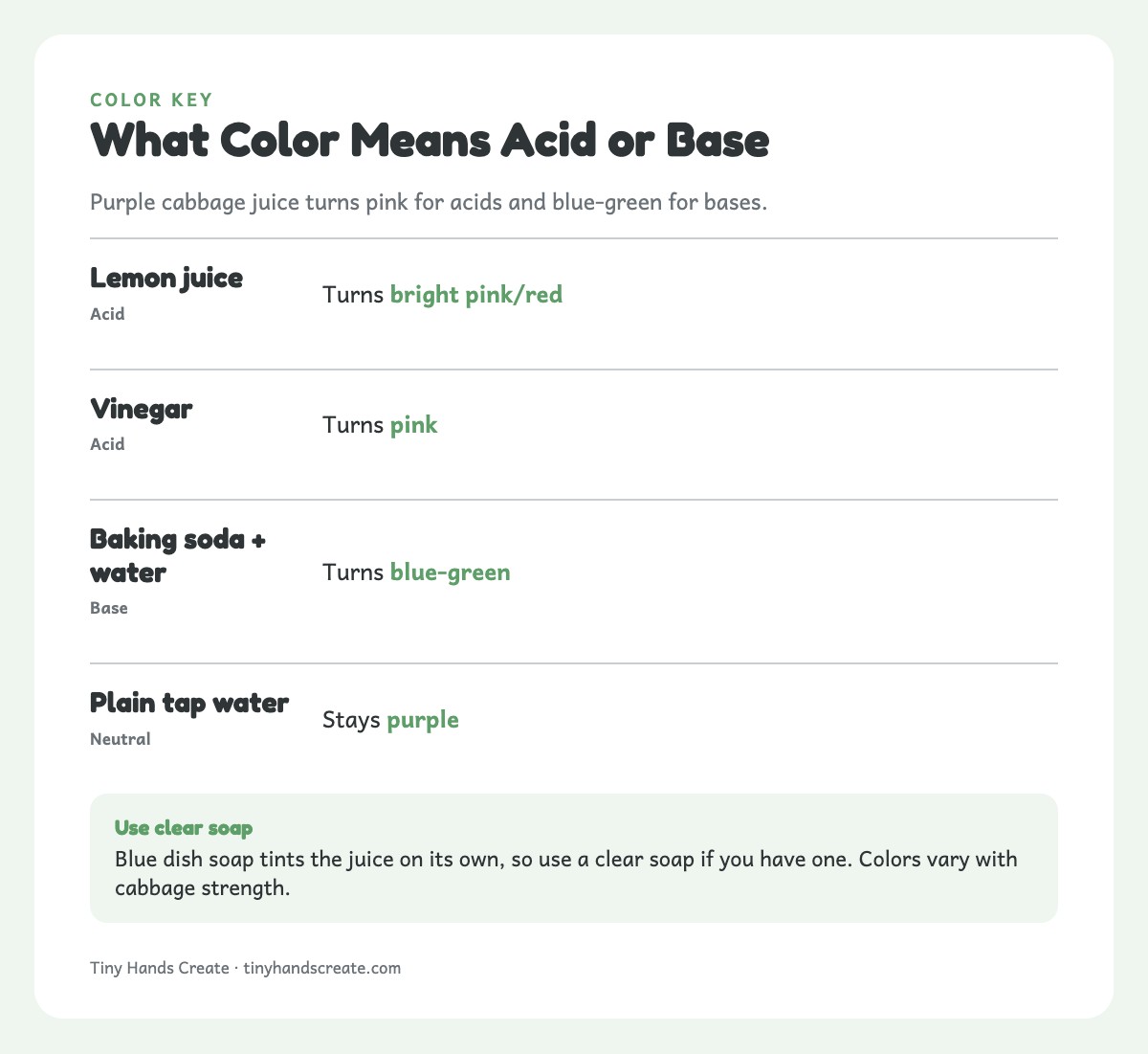 Red cabbage juice color results: lemon juice bright pink, vinegar pink, baking soda blue-green, plain water stays purple