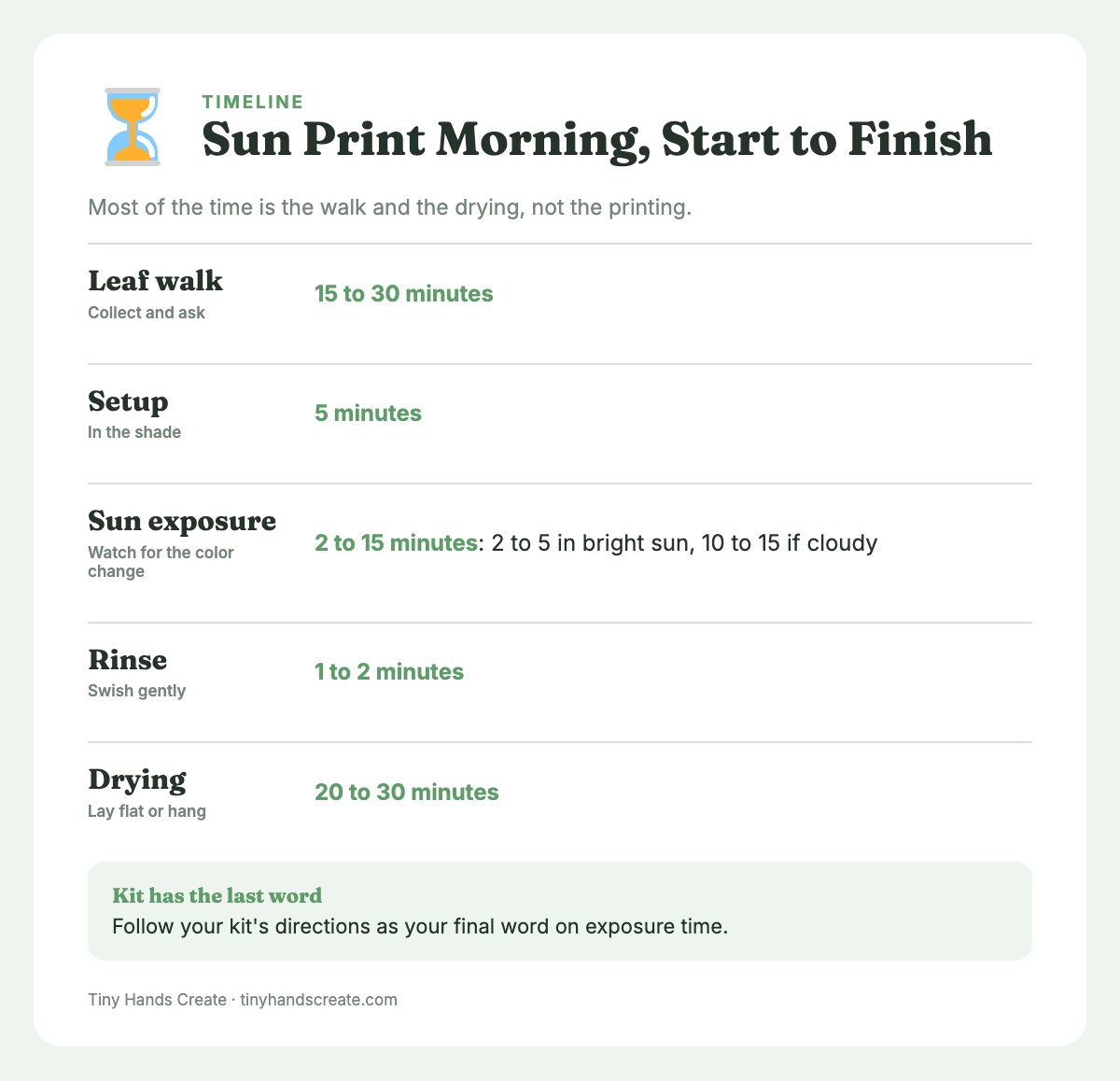 Timeline of a leaf sun print morning: leaf walk, setup, sun exposure, rinse and drying times.