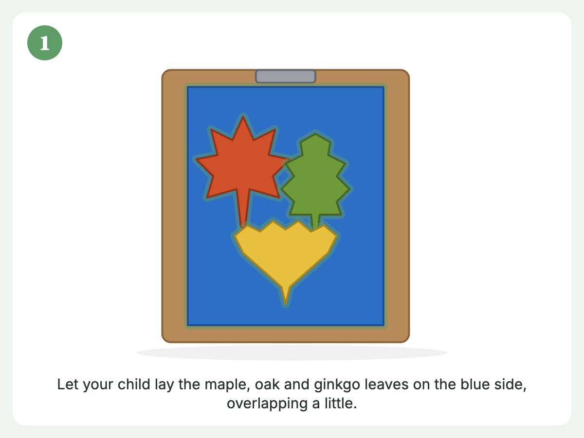 Step 1: Arrange leaves on the blue paper