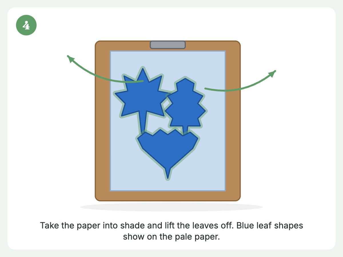 Step 4: Move to the shade and lift off the leaves