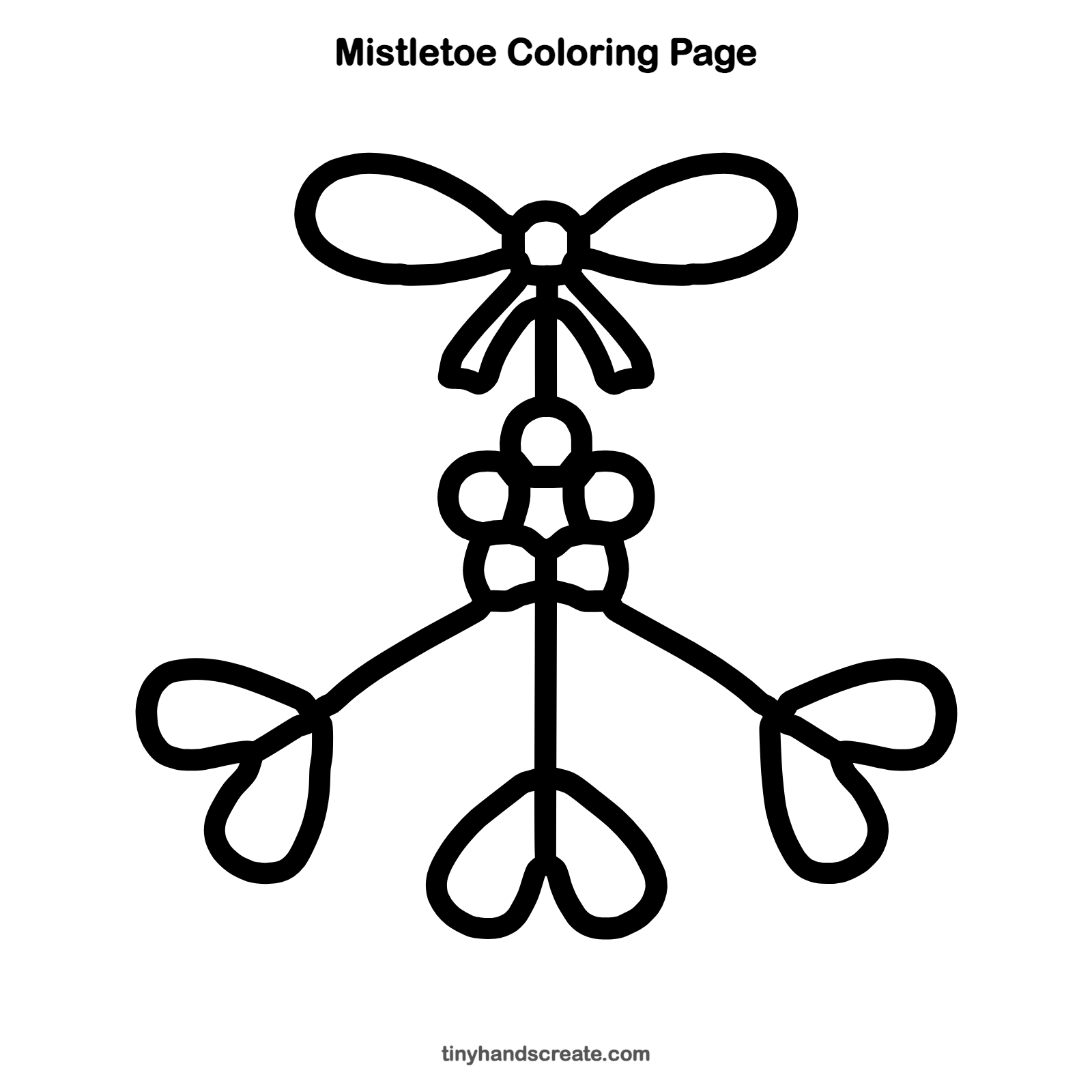 Free printable mistletoe coloring page for kids