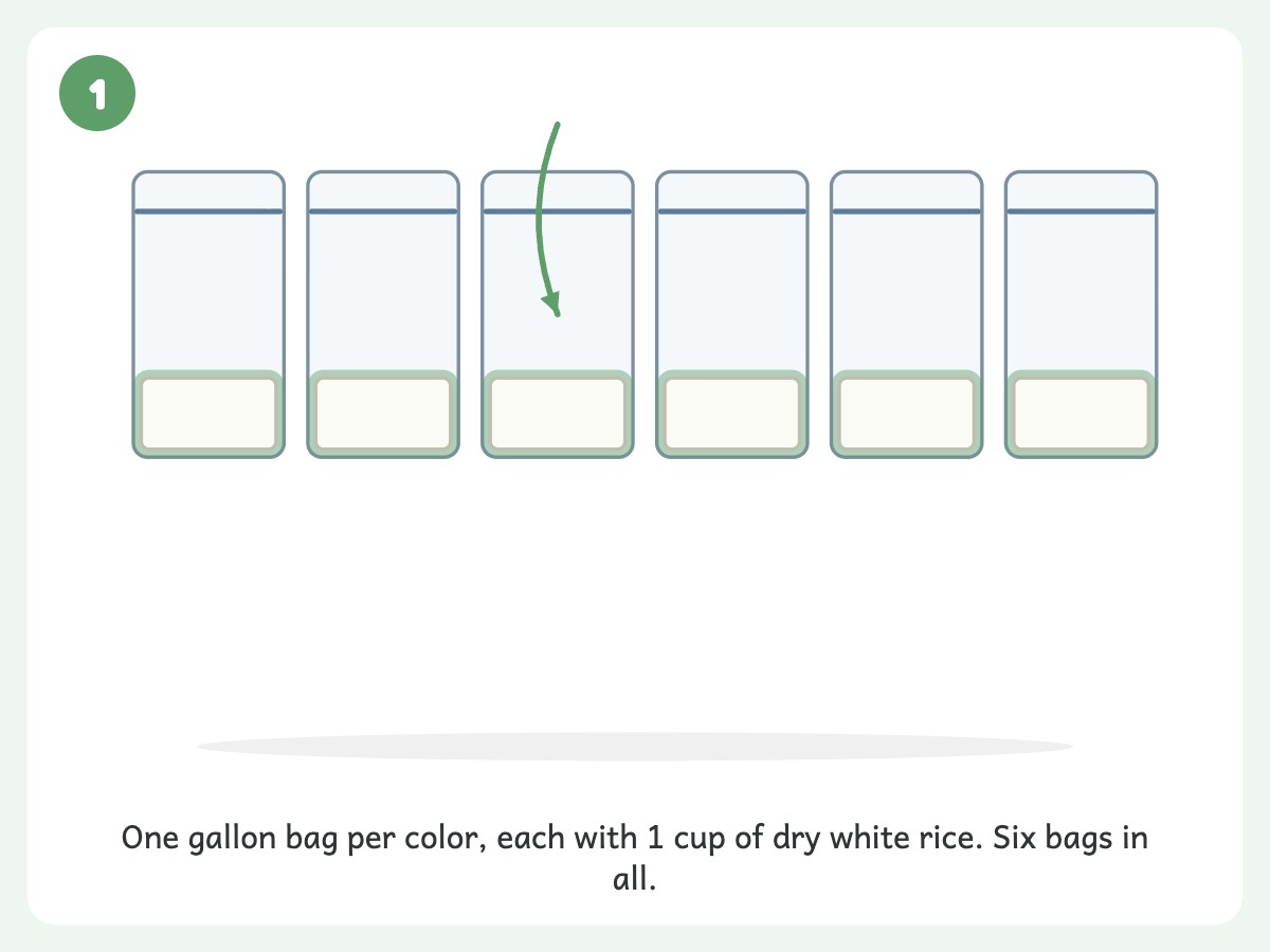 Step 1: Put 1 cup of rice in each gallon ziplock bag, one bag per color