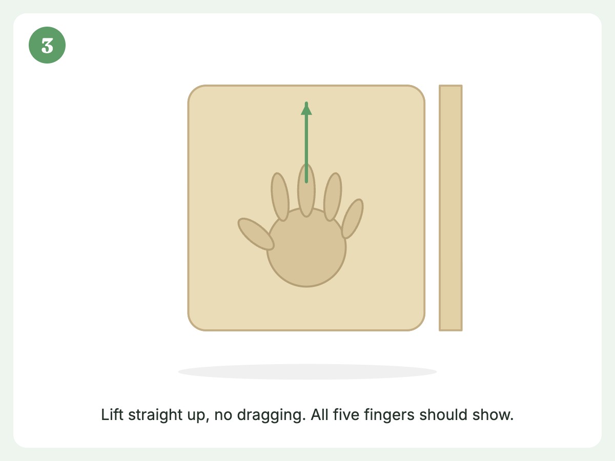 Step 3: Lift straight up to reveal the print
