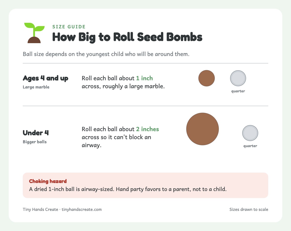 Two seed bomb balls drawn to scale beside a quarter: a 1 inch ball for ages 4 and up and a 2 inch ball for under 4