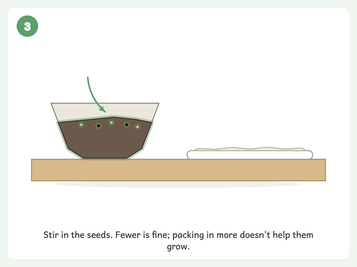 Step 3: Stir in 1-3 tablespoons untreated seeds