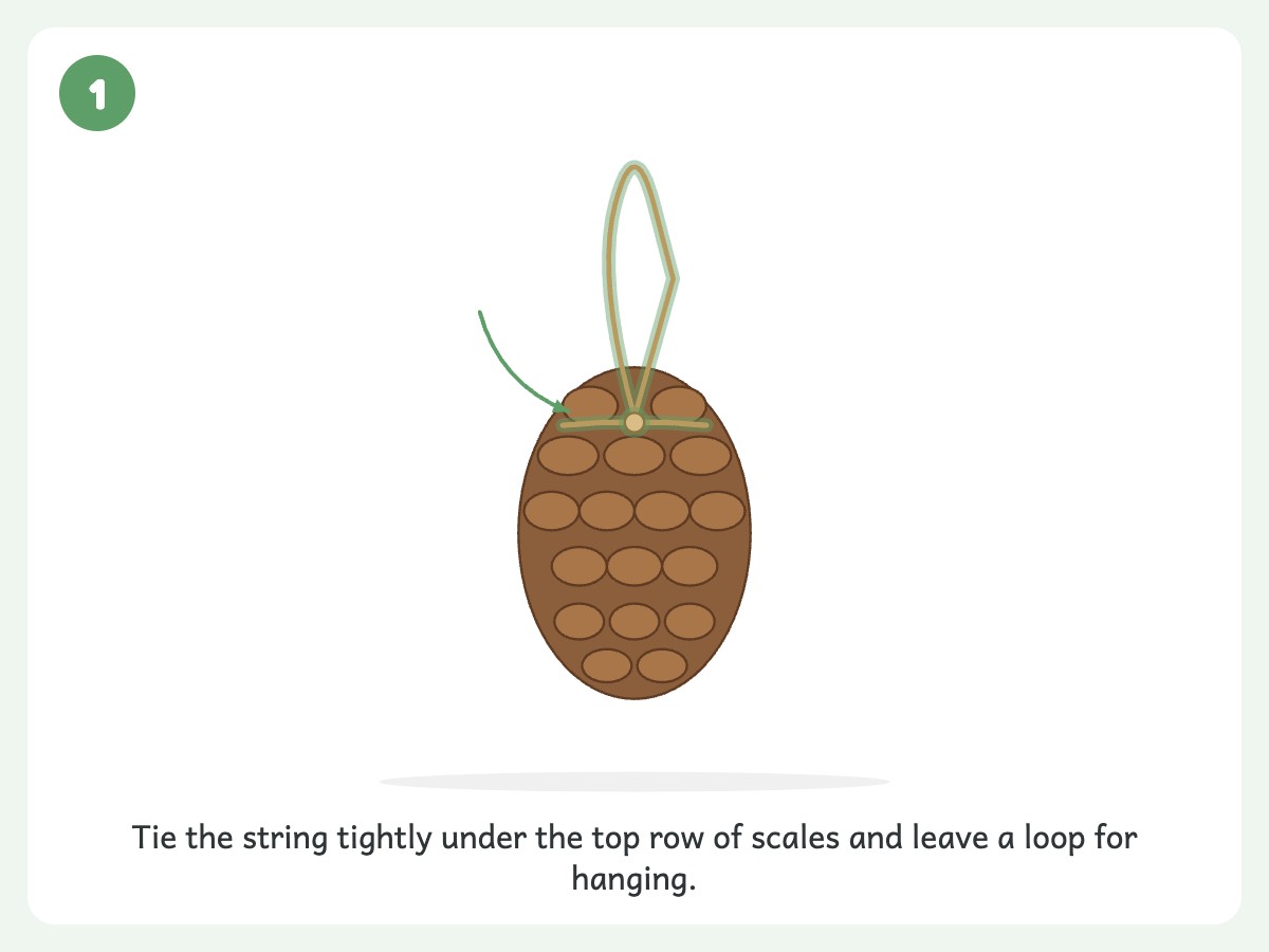 Step 1: Adult ties about 12 inches of string around the pinecone top