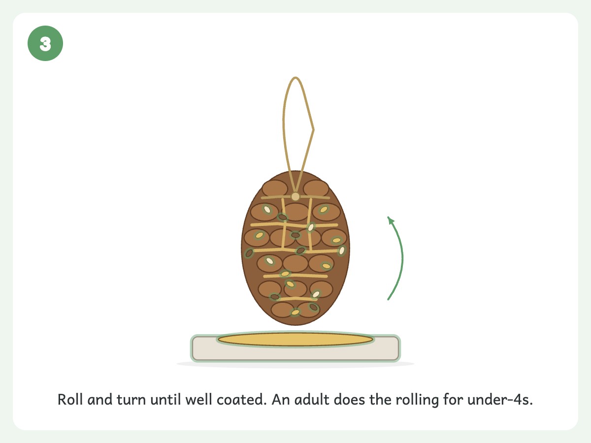 Step 3: Roll the pinecone through birdseed, pressing gently