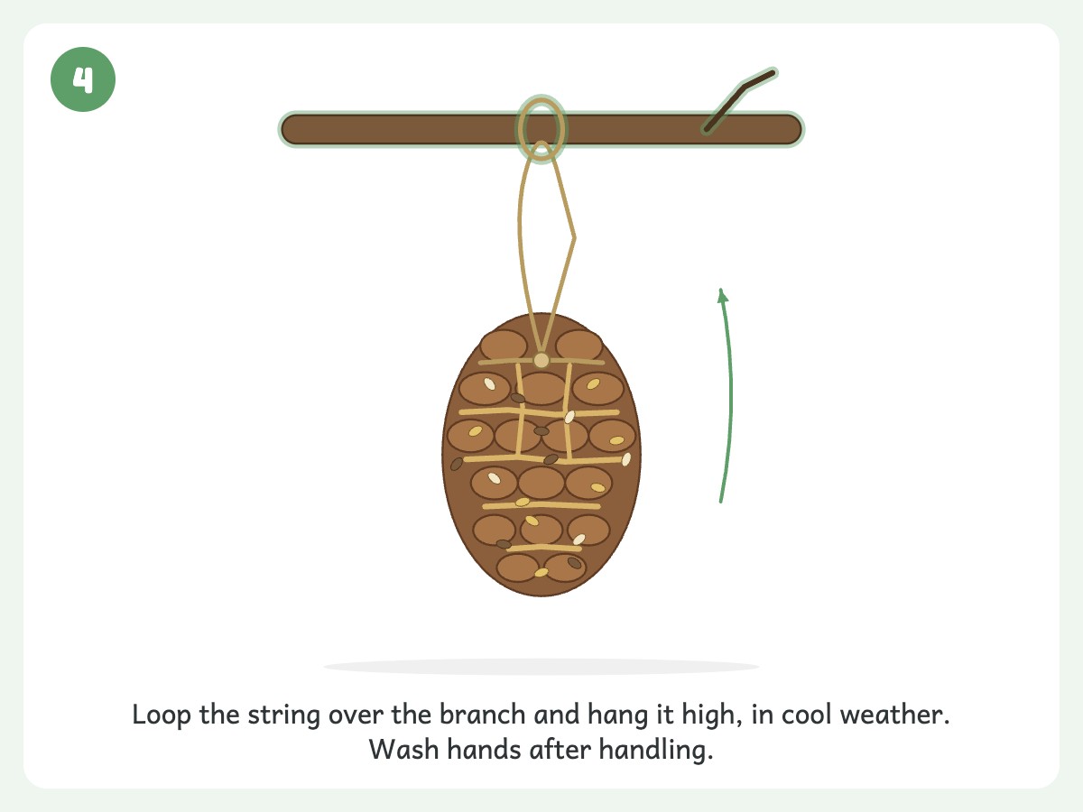 Step 4: Hang the finished feeder from a tree branch or porch railing, out of toddler reach