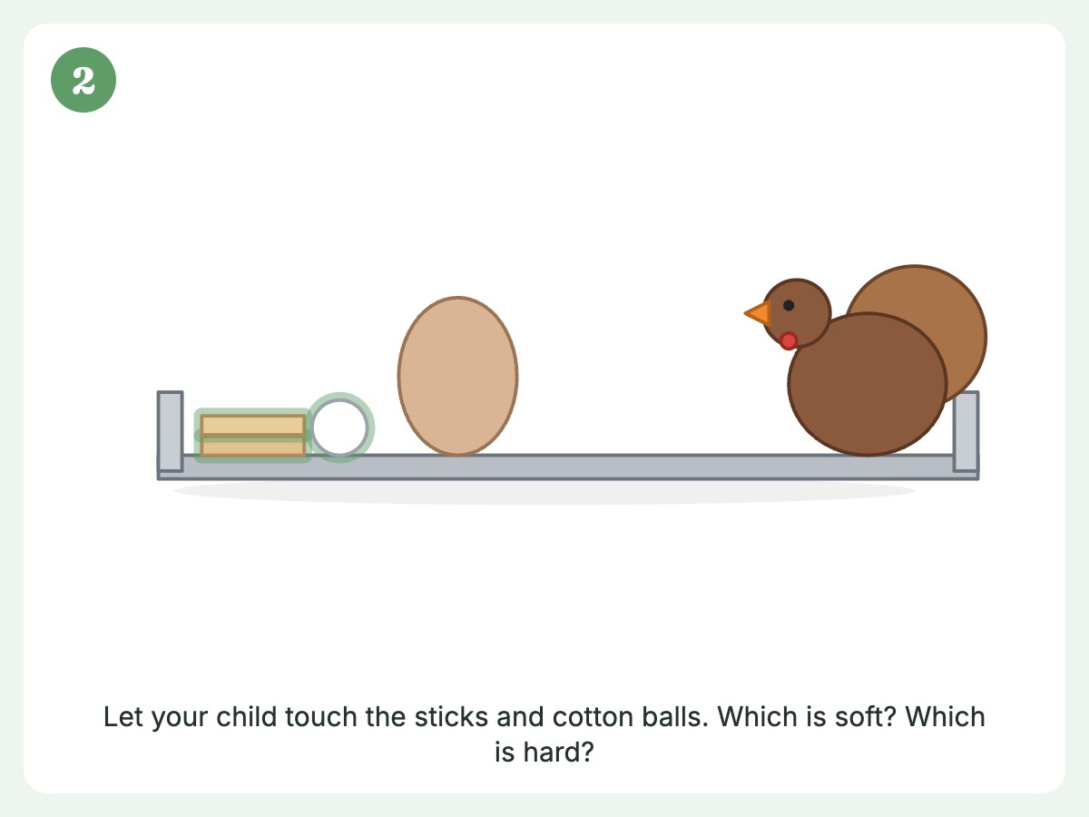 Step 2: Explore the soft and hard materials