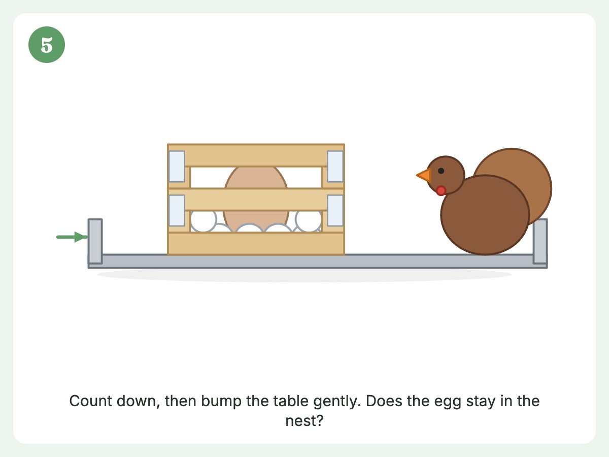 Step 5: Bump the table to test the egg